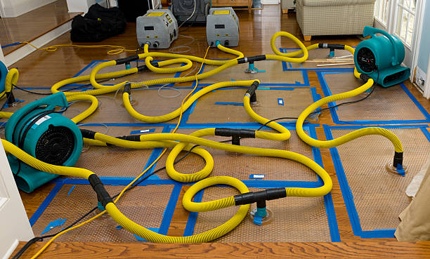 Professional Burst Pipe Water Damage technician working in West Jordan, UT